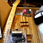 Custom build guitars from project parts or kits