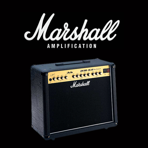 Marshall JCM2000 DSL401 valve kit