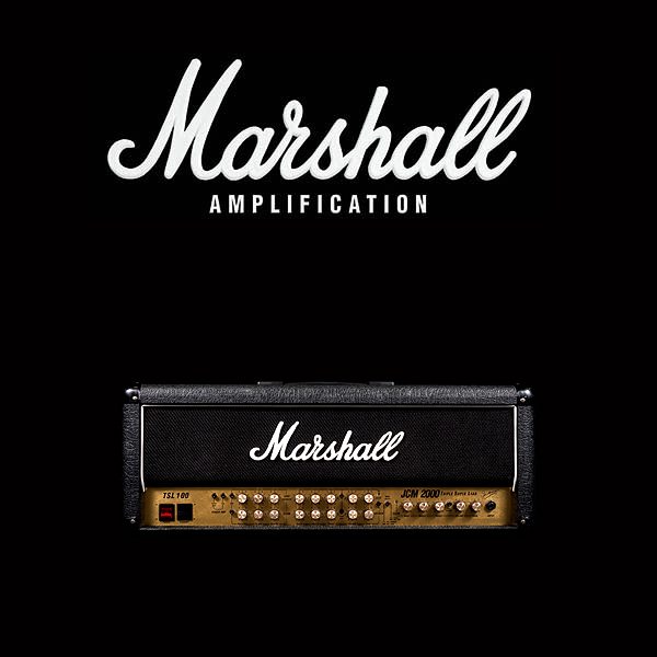 Marshall JCM2000 TSL100 valve kit