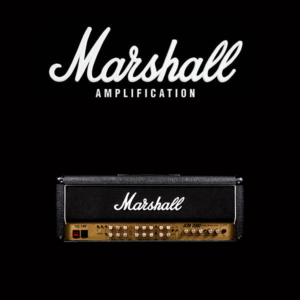 Marshall JCM2000 TSL100 valve kit