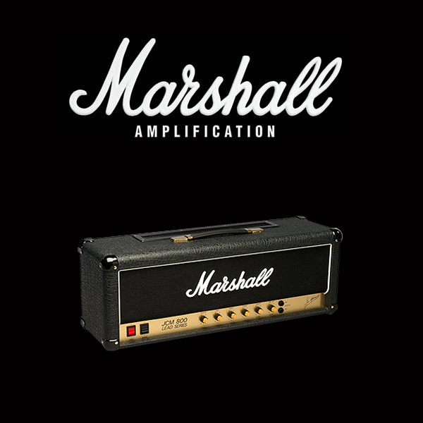 Marshall JCM800 2203 valve kit