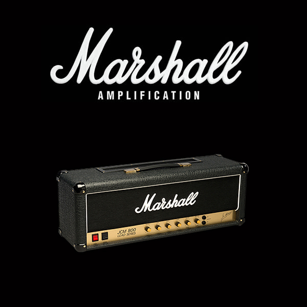 Marshall JCM800 2204 valve kit