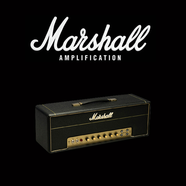 Marshall JTM45 valve kit